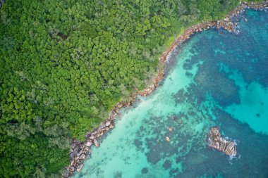 Doğada Praslin ve Seyşeller 'in arka planında plaj ve orman oluşumlarının hava görüntüsü.