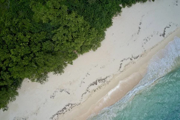 Uitzicht Vanuit Lucht Zee Zand Bos Curieuse Island Seychellen — Stockfoto