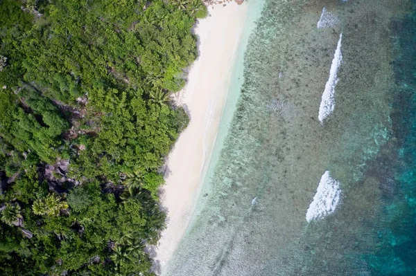 Aerial view of sea meeting sand and forest on Curieuse Island, Seychelles.