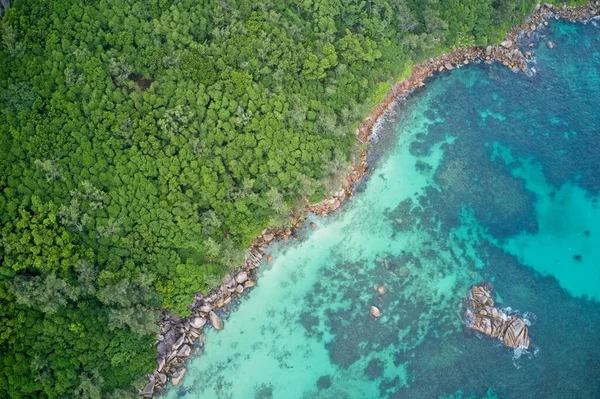 Doğada Praslin Seyşeller Arka Planında Plaj Orman Oluşumlarının Hava Görüntüsü — Stok fotoğraf