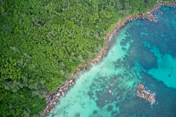Doğada Praslin ve Seyşeller 'in arka planında plaj ve orman oluşumlarının hava görüntüsü.