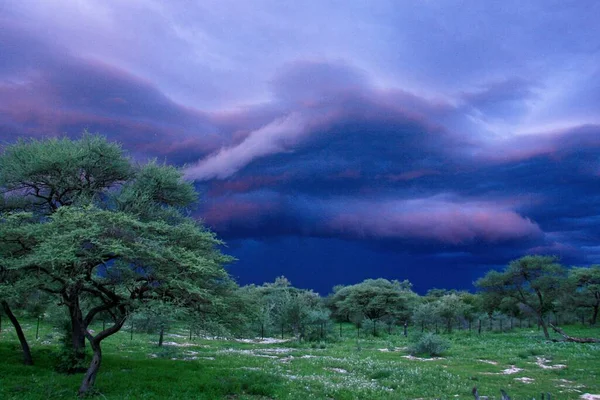 Пейзаж Мощного Темного Штормового Фронта Приближается Пустыне Аутхо Намибия — стоковое фото