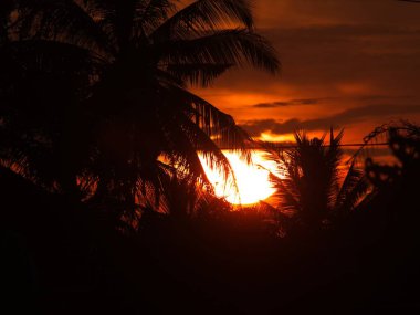 Canggu Ormanı 'nın arkasında gün batımı silueti, Bali 