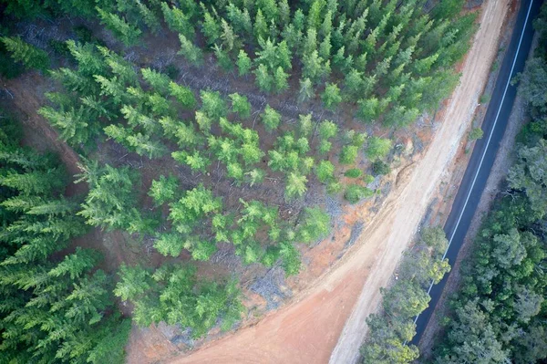 Drone view of road intersecting forest Balingup, Western Australia.