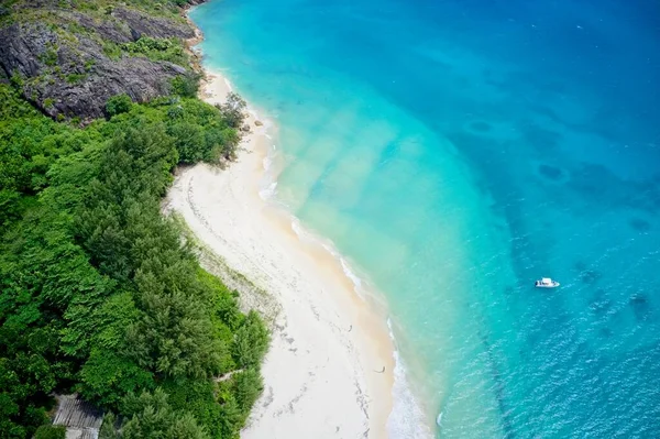 Drone Gezichtsveld Van Kustlijn Bos Curieuse Island Seychellen — Stockfoto