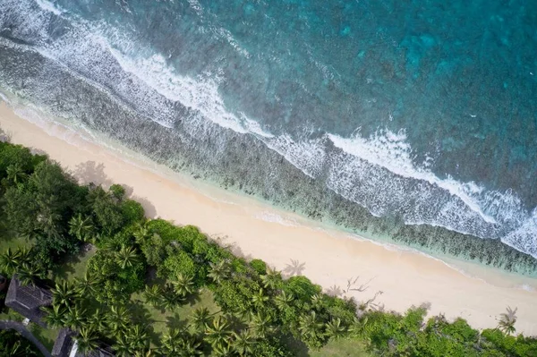 Drónlátómező Hullámok Zuhannak Strand Erdő Praslin Seychelles — Stock Fotó