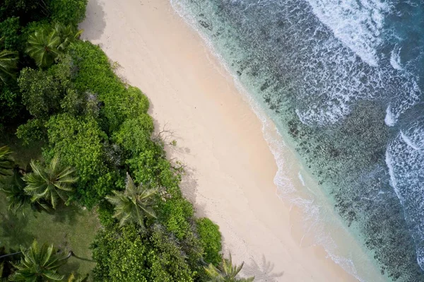 Drone Gezichtsveld Van Golven Langs Leeg Strand Bos Praslin Seychellen — Stockfoto