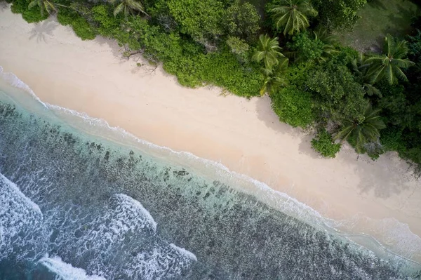 Drón Látómező Hullámok Homok Tenger Erdő Praslin Seychelles — Stock Fotó