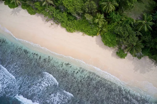 Drone Campo Visivo Onde Sabbia Mare Foresta Praslin Seychelles — Foto Stock