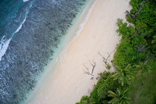 Drone Campo Visivo Onde Sabbia Mare Foresta Sulla Spiaggia Vuota — Foto Stock