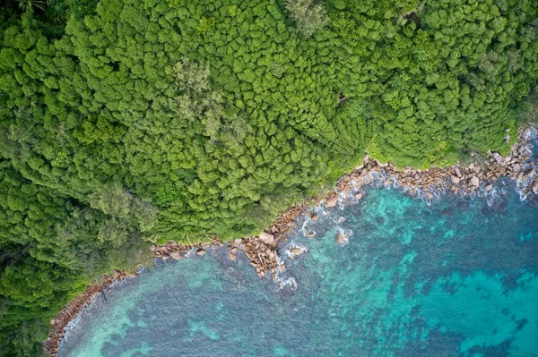Drone Field View Turquoise Blue Waters Meeting Coastline Green Forest — Stockfoto