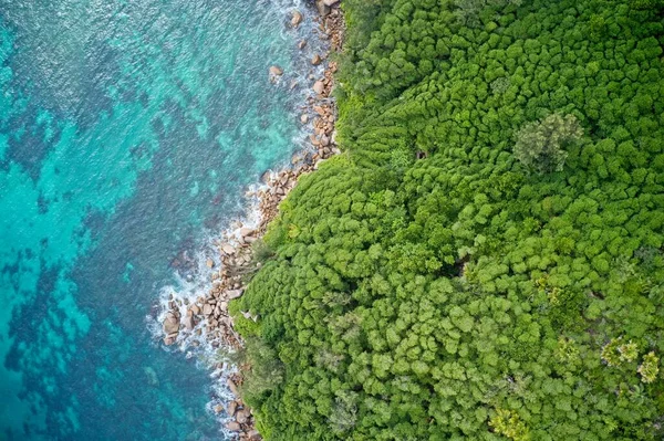 Uçurumlar Turkuaz Mavi Sularla Kaplı Kayalık Kıyı Şeridinin Insansız Hava — Stok fotoğraf