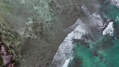 Dalgaların palmiyelere ve La Digue, Seyşeller kıyılarına çarptığı insansız hava aracı alanı.