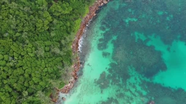 세이셸의 숲의해 안선을 청록색 바다가 보이는 — 비디오