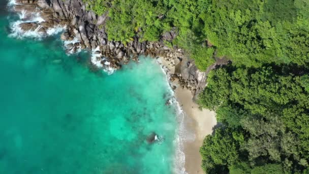 Câmpul Vedere Dronelor Prăbușește Golful Secret Marea Pădurea Mahe Seychelles — Videoclip de stoc