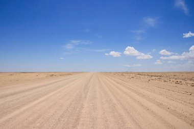 Otostop çekerek Tozlu otoyola Kimse Damaraland, Namibya 'ya gitmiyor.