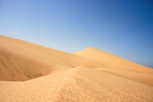 Paysage Rapproché Dunes Sable Motifs Dans Nature Long Côte Squelettique — Photo