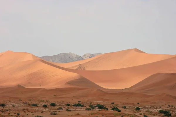 纳米比亚Namib Naukluft国家公园沙丘和景观 — 图库照片