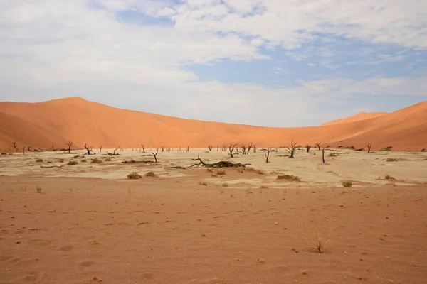 Ukryte Martwe Drzewa Vlei Pustynnym Krajobrazie Park Narodowy Namib Naukluft — Zdjęcie stockowe