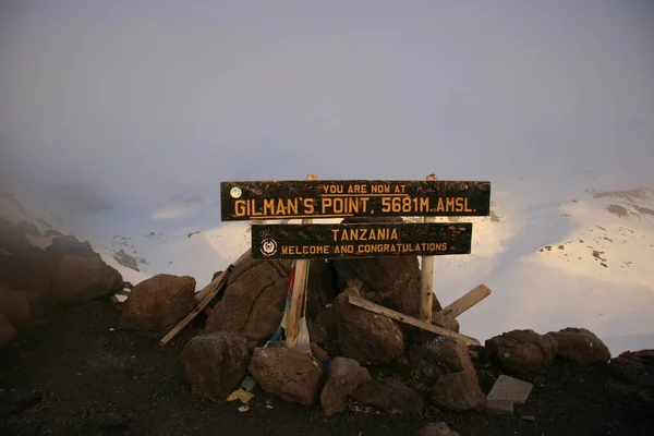 Kilimanjaro Dağı 'nın zirvesindeki Gilmans Burnu tabelası karla kaplı, Tanzanya.