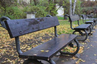 sonbahar Park banklar