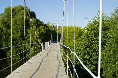 birçok agaric tatlım