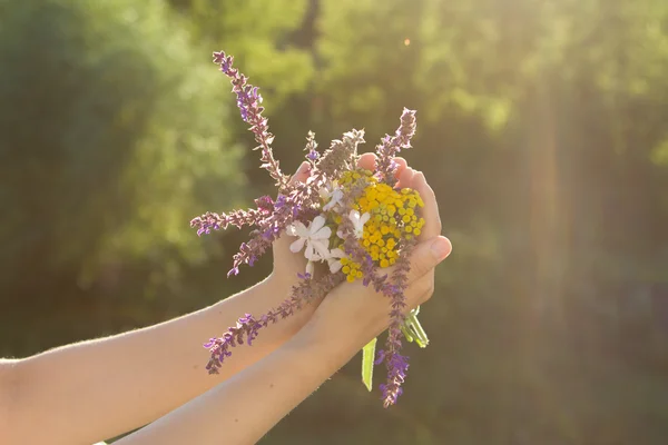Flowers in hands — Stock Photo, Image