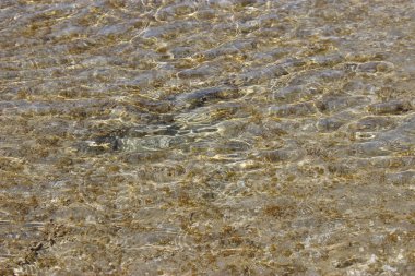 berrak su Akdeniz, Protaras, Kıbrıs