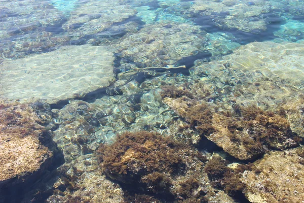 Pierres au fond de la mer Méditerranée — Photo