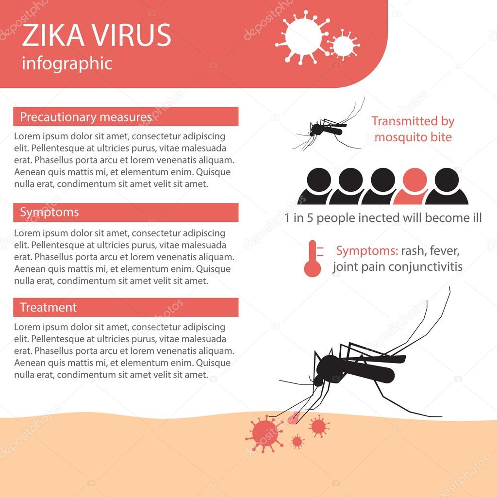 information poster zika virus infographic. silhouette mosquito