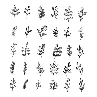 Collection of simple doodles of flowers and twigs in line style. Decorative beauty elegant illustration for design hand drawn flower. Isolated vector illustration.