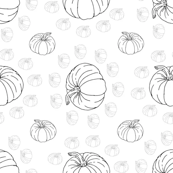 白い背景パターン上の秋の黒と灰色のカボチャ 感謝祭の休日 シームレスな繰り返しスウォッチ 概要カボチャの織物 バナー 包装ベクトルデザイン — ストック写真