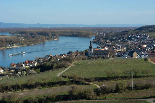 View Small Village Nierstein Church Rhine Vineyards Daylight Spring — Stock Photo, Image