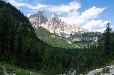 Dolomitlerde gün ışığında ağaçlarla dağ manzarası