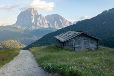 Dolomite dağlarının ortasında küçük bir kulübe. Sıcak yaz güneşi altında. Seceda 'ya giden yolda çiçekler var.