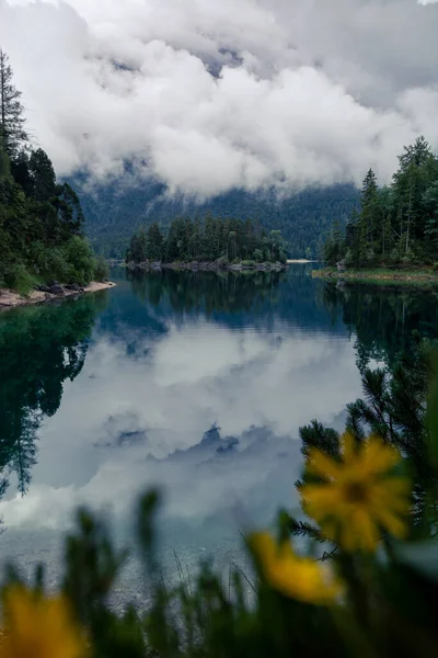 Flowers Eibsee Bavaria Cloudy Day Reflection — Stock Photo, Image