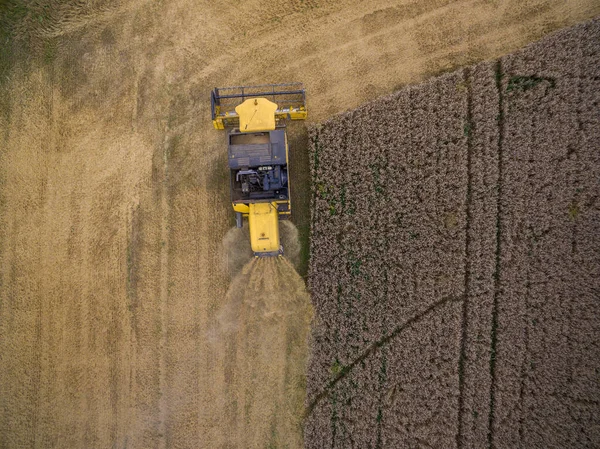 Weizenernte Sommer Von Oben Nach Unten Mit Mähdrescher Bild — Stockfoto