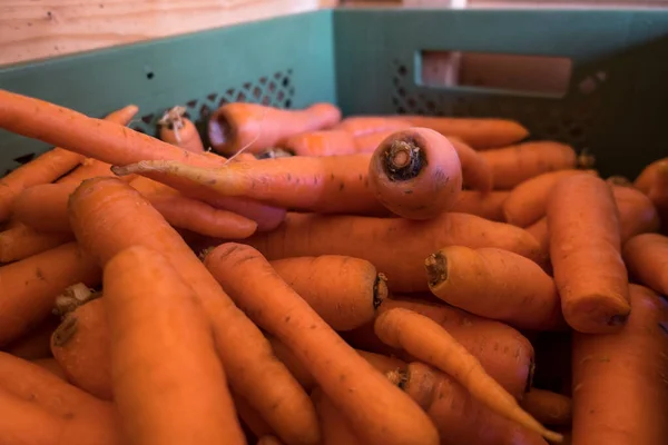 Market Basket Colorful Orange Carrots Market Fresh Vegetables Field Bio Imagen De Stock