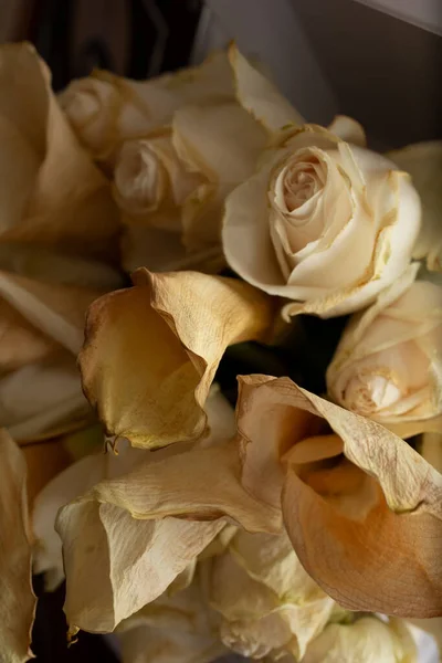 Una Vista Bouquet Rose Eleganti Gigli Che Sono Drammaticamente Appassiti — Foto Stock