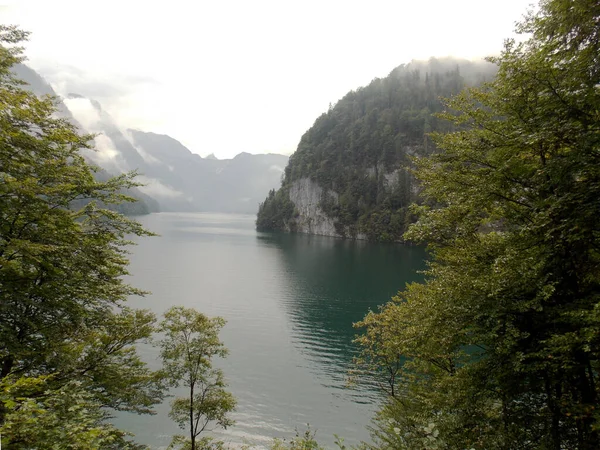 Fin Utsikt Mellan Träd Fjäll Och Sjö Berchtesgaden Sommaren — Stockfoto