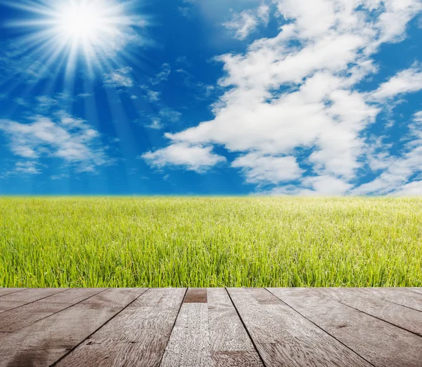 Mesa de madera en gass verde con cielo azul y nube blanca — Foto de Stock