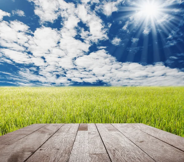Suelo de madera sobre hierba verde con cielo azul y nube blanca — Foto de Stock