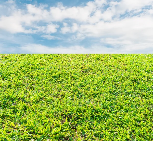 Zielona trawa w błękitne niebo i białe chmury — Zdjęcie stockowe