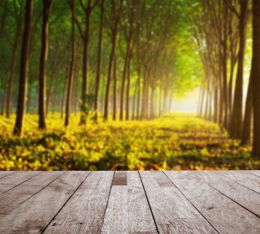 Ahşap masa üstü bulanık para kauçuk ağacı bahçesinde sabah 