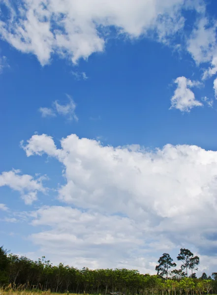 Blue sky with white cloud — Stock Photo, Image