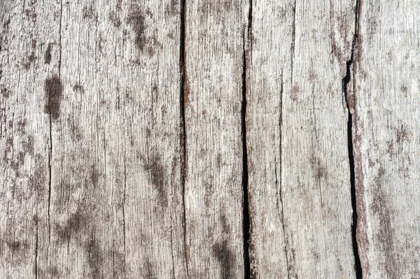 Oude witte houtstructuur — Stockfoto