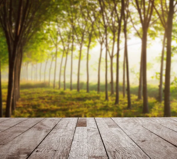 Drewniany blat na niewyraźne para gumowe drzewo ogród w rano — Zdjęcie stockowe