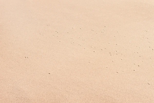 Texture of white sand beach — Stock Photo, Image