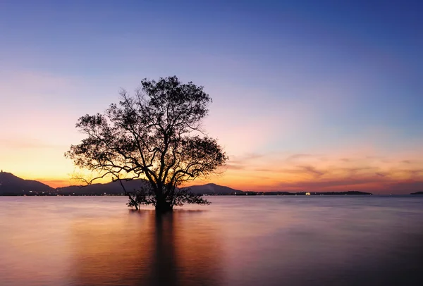 Deniz manzarası günbatımı uzun pozlama tekniği