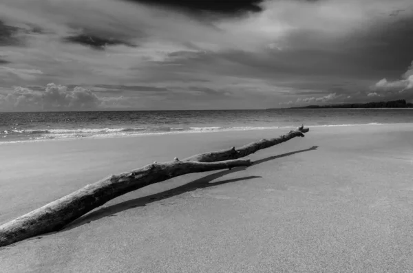 青い空 黒と白とモノクロームのスタイルでビーチの砂と青い海の美しい風景の自然 — ストック写真
